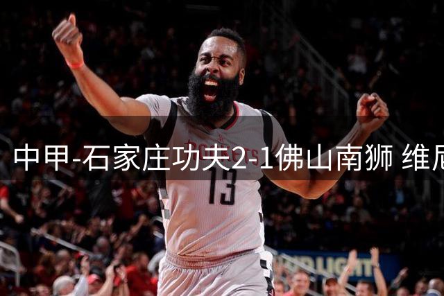中甲-石家庄功夫2-1佛山南狮 维尼修斯康拉德破门迪拉特奇点射